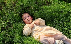 三个媳妇陈淑蓉的扮演者是谁